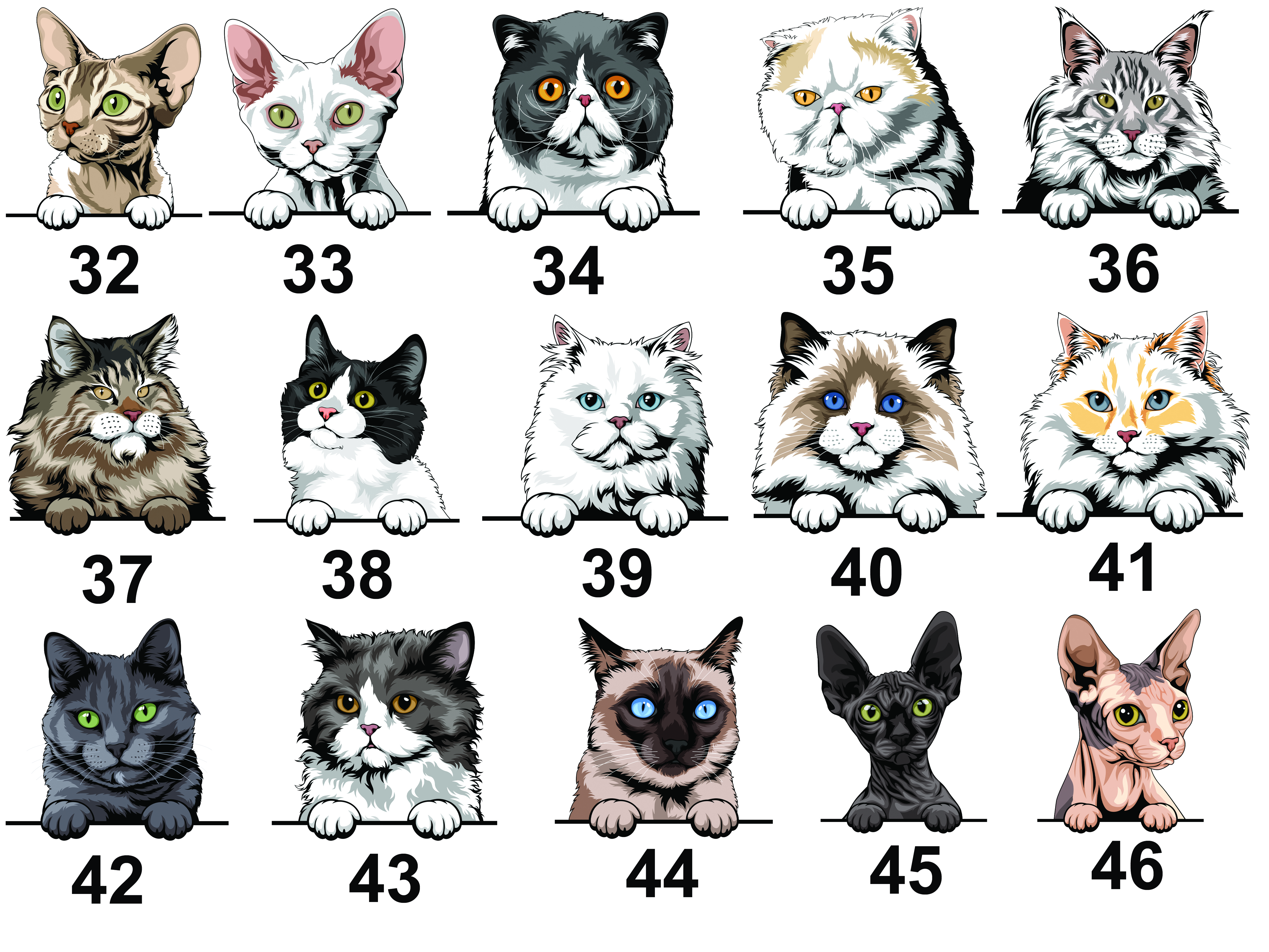 KOCKY-KATALOG-2-kopie.jpg